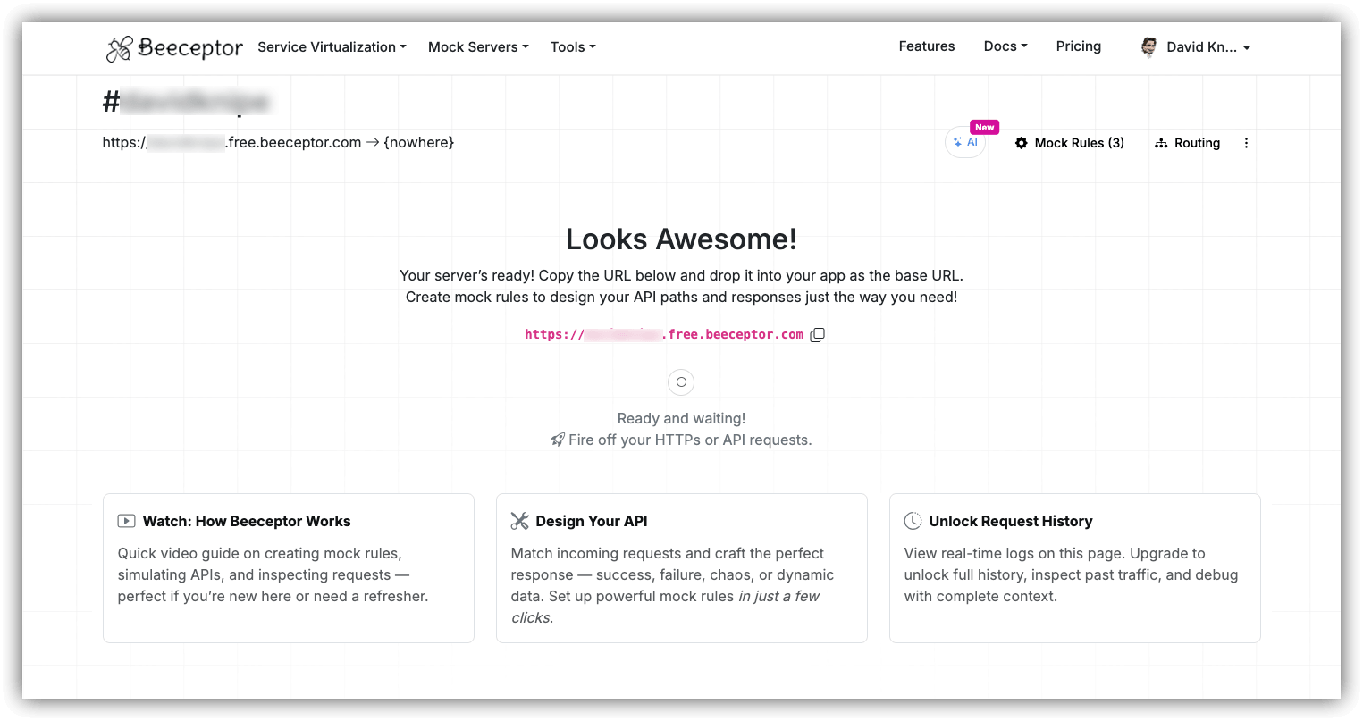 Beeceptor dashboard showing a newly created free endpoint URL